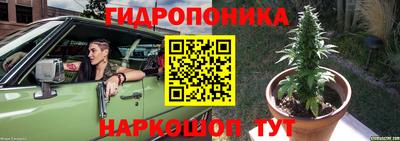 a pvp Мариинск