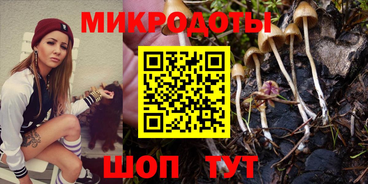 Сочи  Псилоцибиновые грибы Psilocybine cubensis  Вход с VPN 