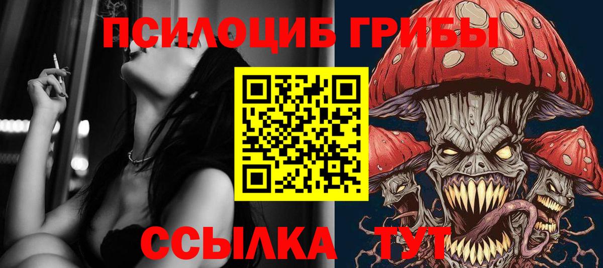 Псилоцибиновые грибы Cubensis Сочи